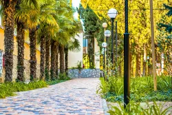 Территория