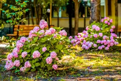 Территория