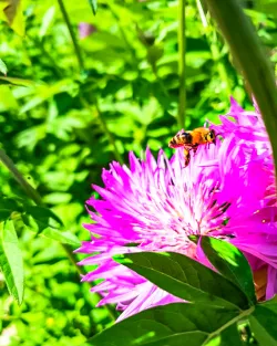 Территория