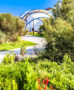 Территория