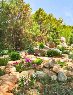 Территория