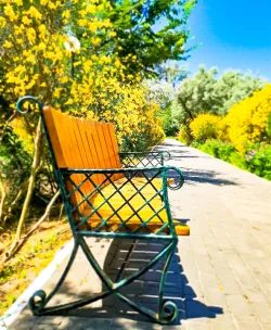 Территория