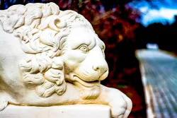 Территория