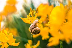 Территория