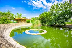 Территория