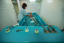 Гидромассаж