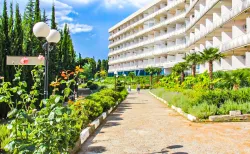 Территория