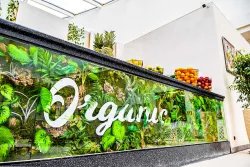 Бар «Organic Bar» Бар «Organic Bar»