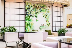 Бар «Organic Bar» Бар «Organic Bar»