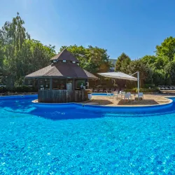 Большой бассейн