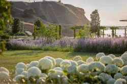 Территория Территория