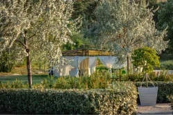 Территория Территория