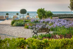 Территория Территория