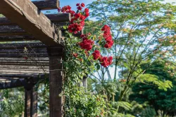 Территория Территория