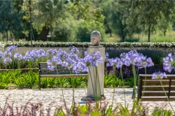 Территория Территория