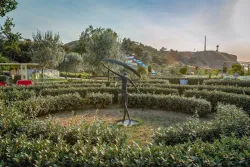 Территория Территория