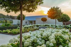 Территория Территория