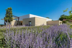 Территория Территория