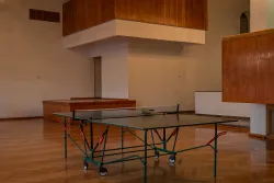 Настольный теннис