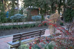 Территория