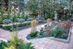 Территория