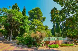 Территория