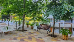 Территория