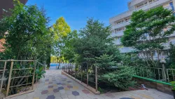 Территория