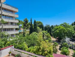 Территория