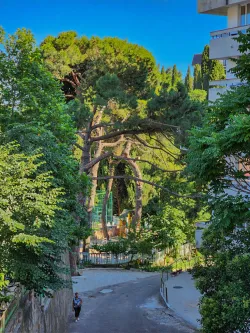 Территория