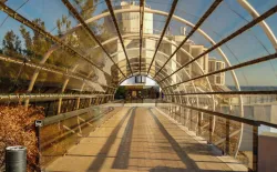 Вид из окон на территорию