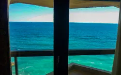 Вид из окон на территорию