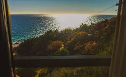 Вид из окон на территорию