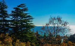 Вид из окон на территорию