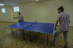 Настольный теннис