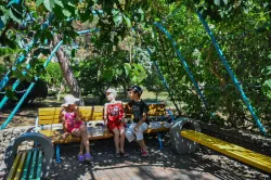 Территория