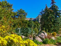 Территория