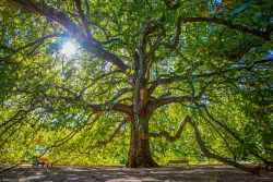 Территория