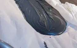 Грязелечение