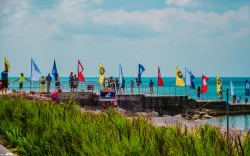 Развлекательные мероприятия