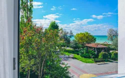 Территория