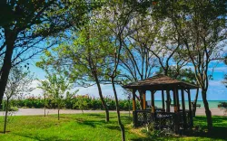 Территория