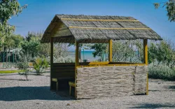 Территория