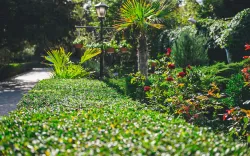 Территория