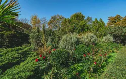 Территория