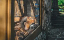 Территория