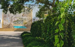 Территория