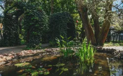 Территория