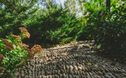 Территория