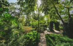 Территория